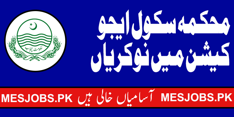 School Education Department Jobs